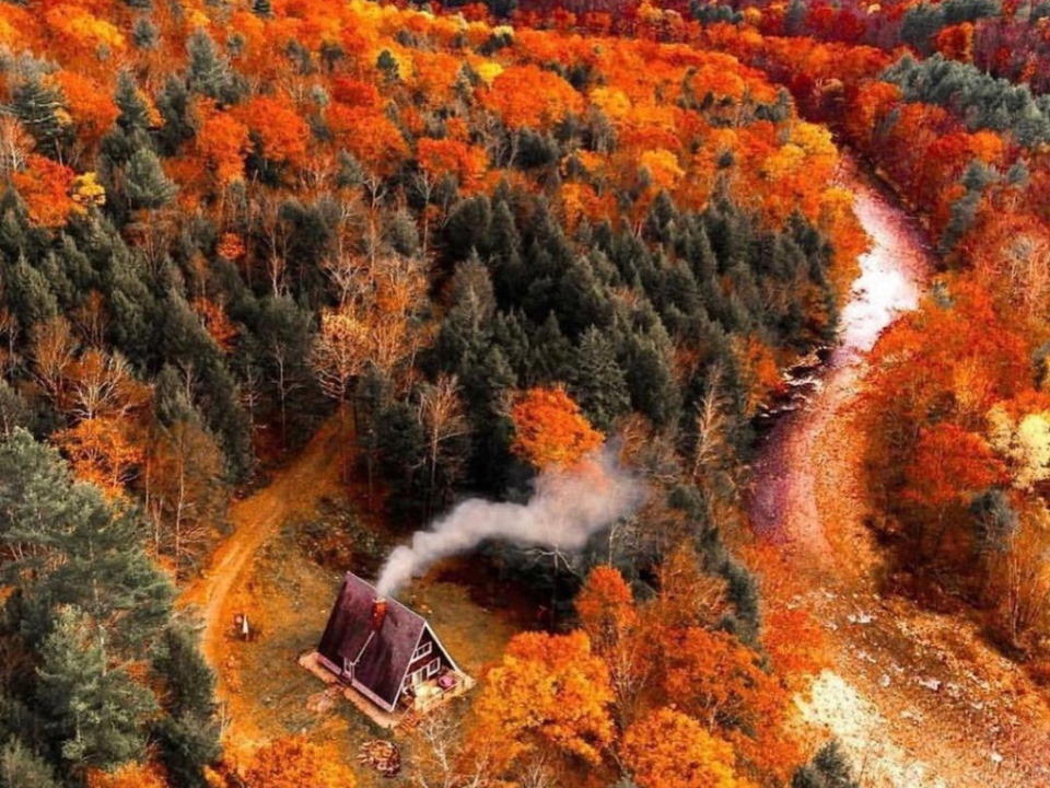 Деревянные дома в осеннем пейзаже